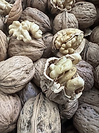 Yerli  Kabuklu Doğal Ceviz